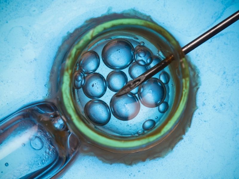 tup-bebekte-embriyo-sayisi-ve-embriyo-kalitesi